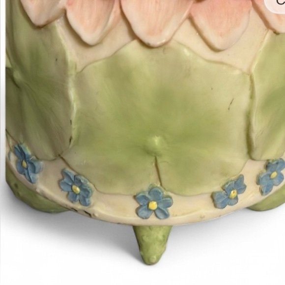 Turtle - Picture 5 of 6